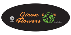 GironFlowers logo