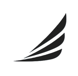 Charter AirX logo