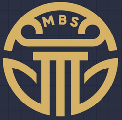 MBS Survey Group Ltd. logo