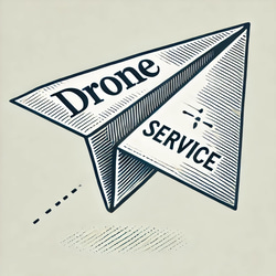Drone Service logo