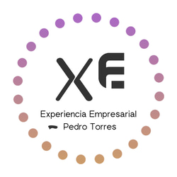 Experiencia Empresarial CR logo