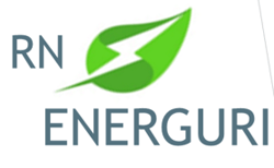 RN ENERUGI logo