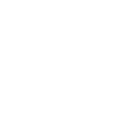 Lucky Homes logo