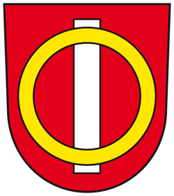 Wir lassen Offenbach blühen! logo