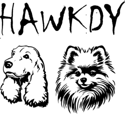 Hawkdystore logo