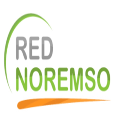 Red Noremso logo