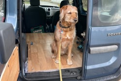 Hund sitzt im Mini Camper Van