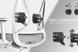 Close-up of Sensit T150 chair showing dual-lumbar support system with motion flex diagram.
