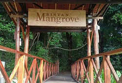 Mnagrove Discovery Tour