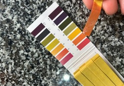 checking the pH against a colour chart, pH4