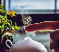 Humidifier next to indoor plants