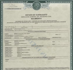 Professional birth certificate translation services by Lang Lumin