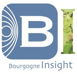 Logo Bourgogne Insight