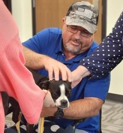 Team Evaluation test of 3 people conducting crowded petting on a Boston Terrier.