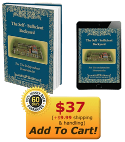 Self sufficient Backyard offer