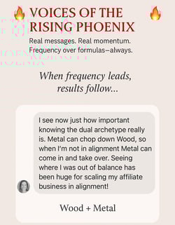 DM screenshot of Wood + Metal Archetype – Visionary entrepreneur celebrates discovering her strategic dual archetype