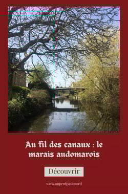 épingle pinterest avec vue des canaux du marais audomarois