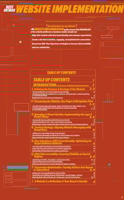 Front cover of Website implementation PDF