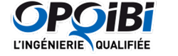 Logo qualification audit