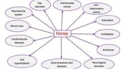 Bee Therapy  the Benefits and Uses of Bee Venom (2)