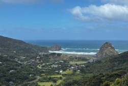 beautiful piha!