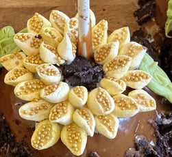 Gourmet Sunflower Caramel Apple