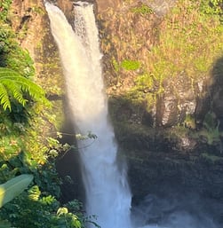 a waterfall in the middle of a lush green forest