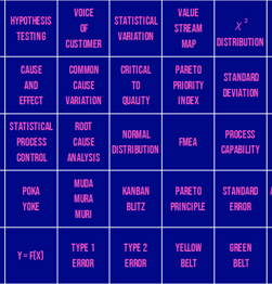 Lean Six Sigma skills matrix