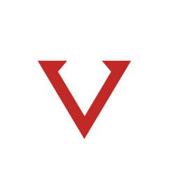 VISION SOFTWARE TECH logo