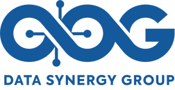 Data Synergy Group logo