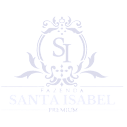 Buffet 3 Amores logo