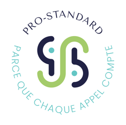 PRO-STANDARD logo