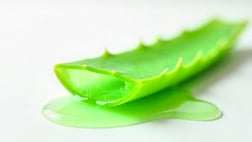 Aloe vera - gel collant