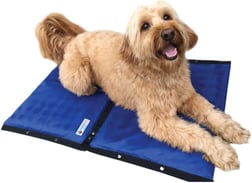 CoolerDog Hydro Cooling Mat