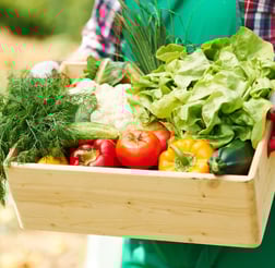 Plantes alimentaires