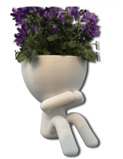Pots de fleurs mignons