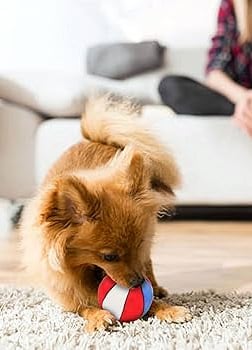tienda de productos para mascota
