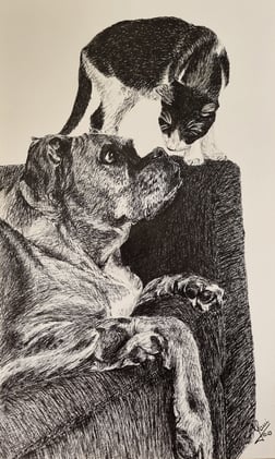 a cat sitting on a couch with a cat on it