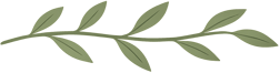 Leaf Border