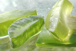 aloevera