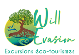 logo will evasion voyage france guadeloupe