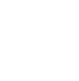 Practitioner Logo