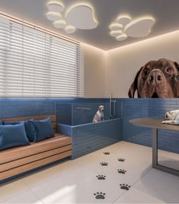 PetCare NAU