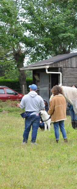un groupe echange avec un equicoach (Rémi Bleibtreu) entouré d'un cheval et de chiens