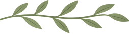 Leaf Border