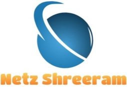 Netz Shreeram Solution Pvt Ltd logo