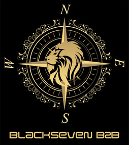 Blacksevenb2b logo