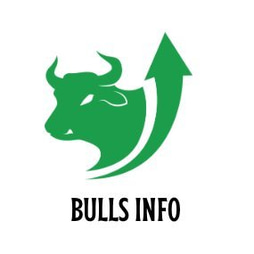 BULLSINFO logo