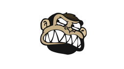 Monkey Studio logo