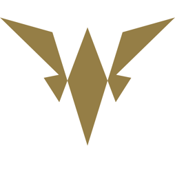 WSM Soluções e Consultoria logo